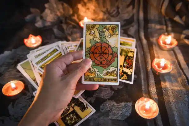 tarot cards Rabbit Hash